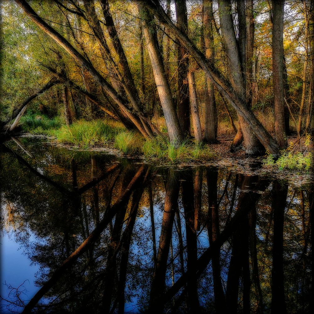 Am Tegeler Fließ Foto & Bild | landschaft, jahreszeiten, herbst Bilder