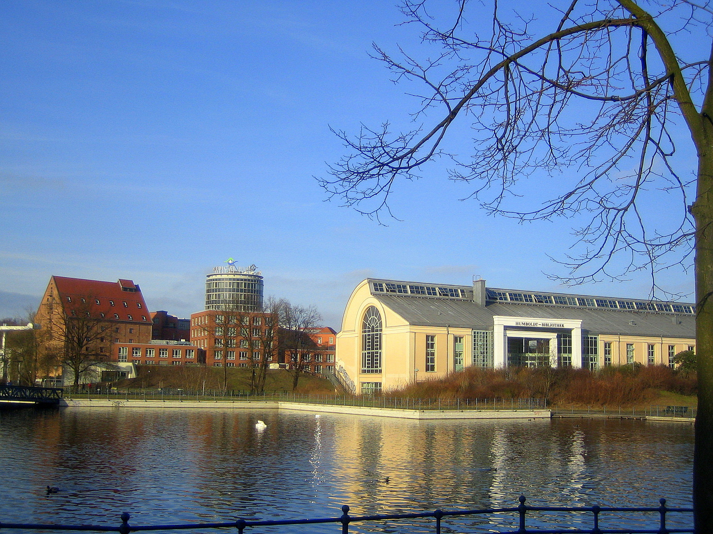 am Tegeler Hafen