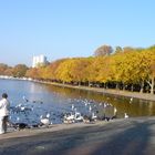 Am Tegeler See