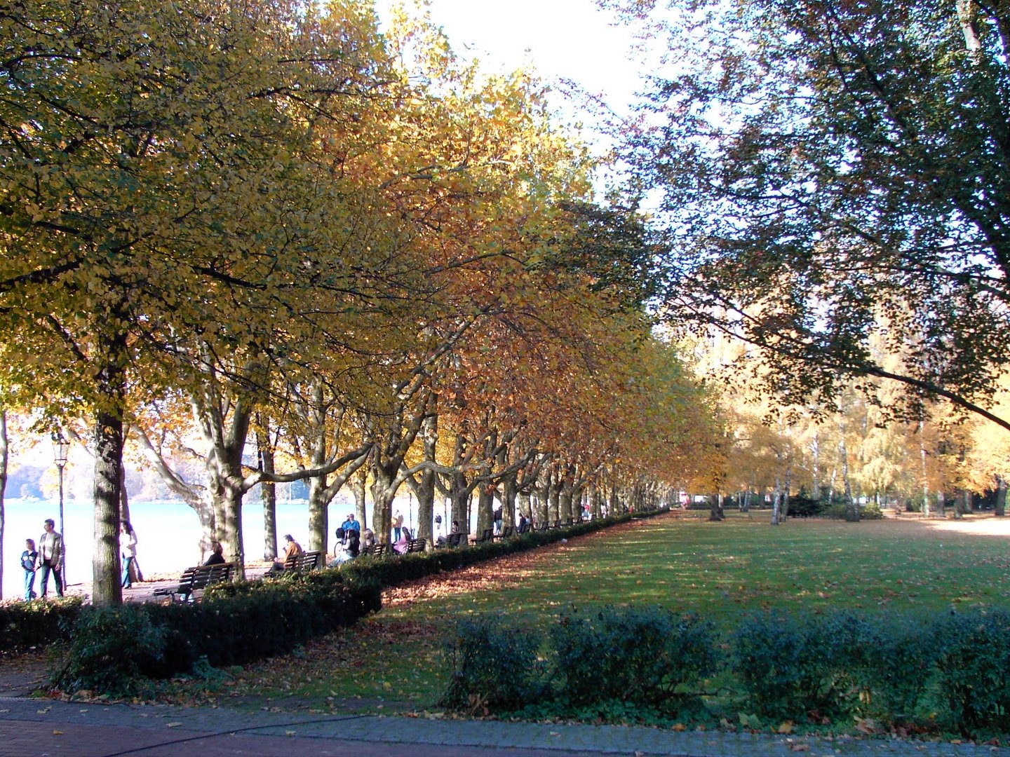 Am Tegeler See