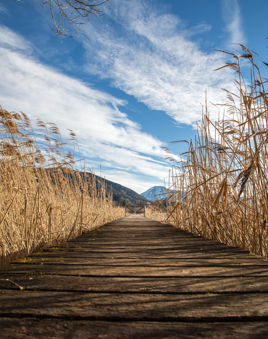 Am Tegernsee