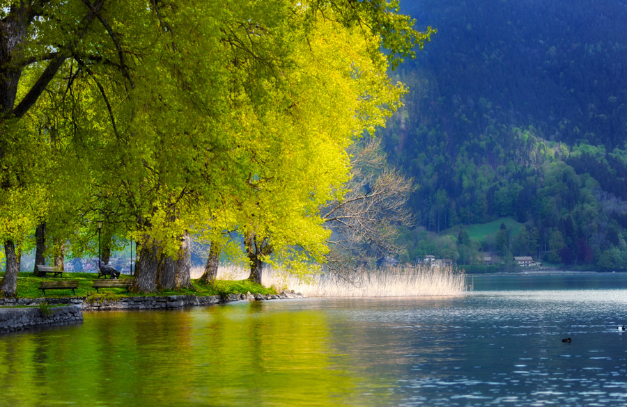 Am Tegernsee