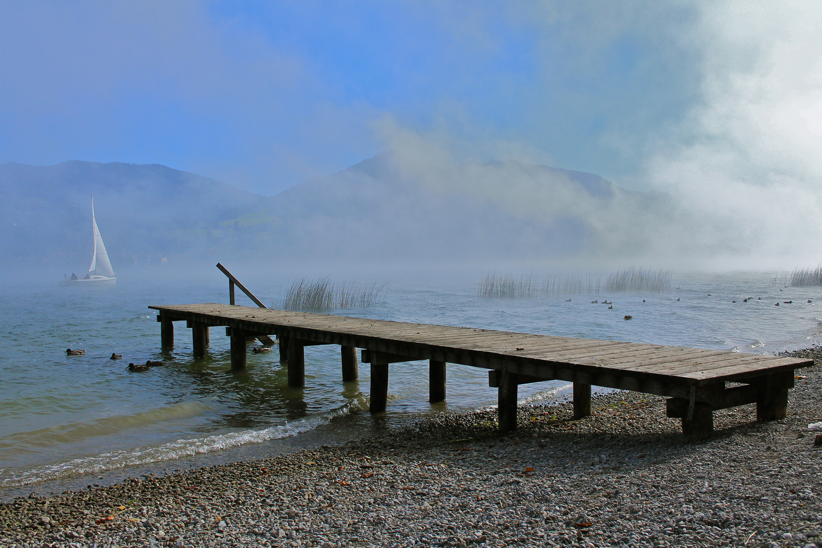 ...am Tegernsee im Frühnebel