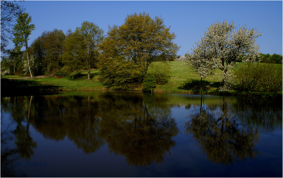 Am Teich