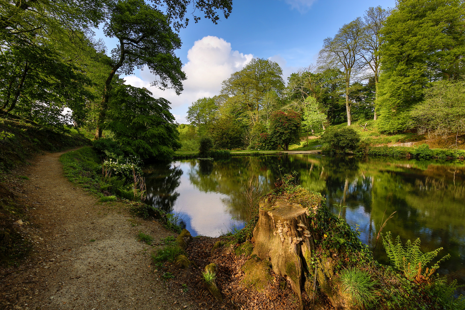Am Teich Foto & Bild england, teich, cornwall Bilder auf