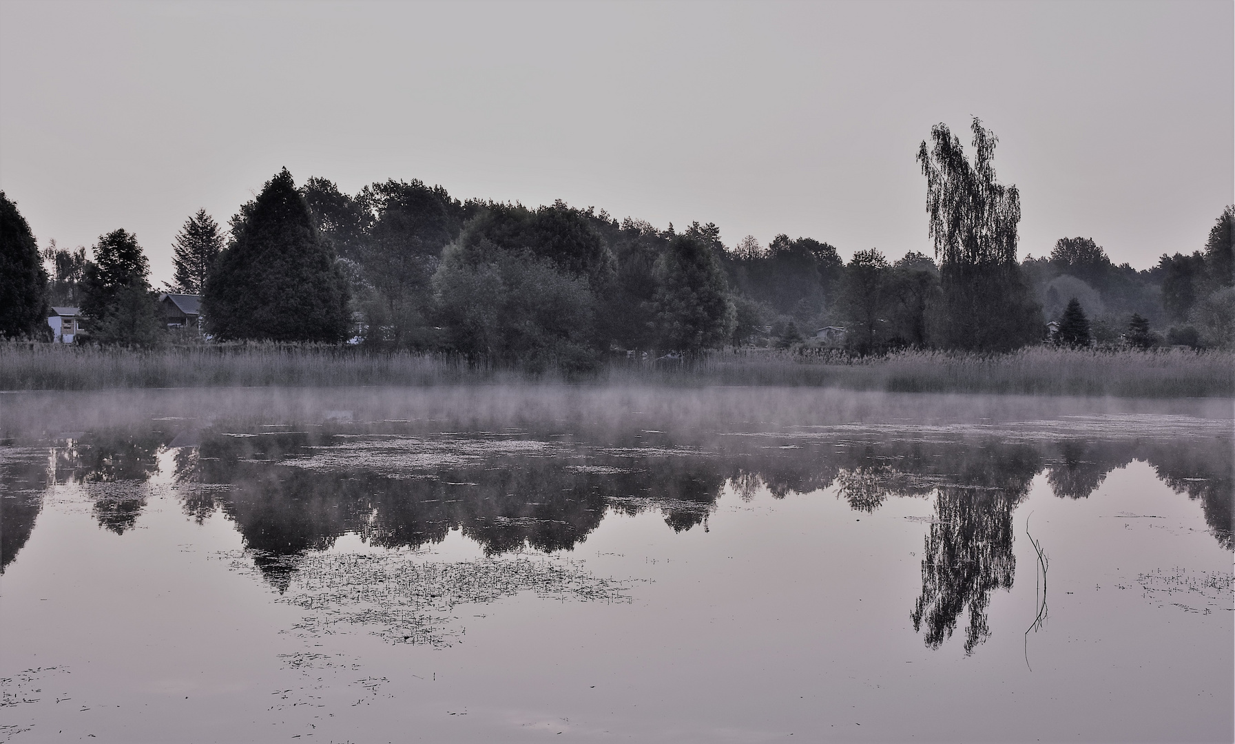 Am Teich Foto & Bild landschaft, projekte, bach, fluss & see Bilder