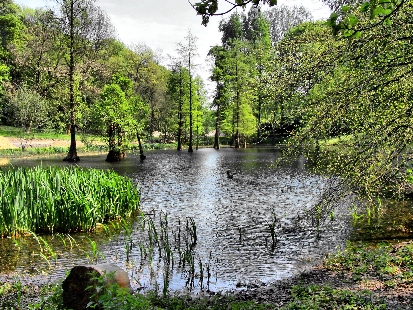 Am Teich