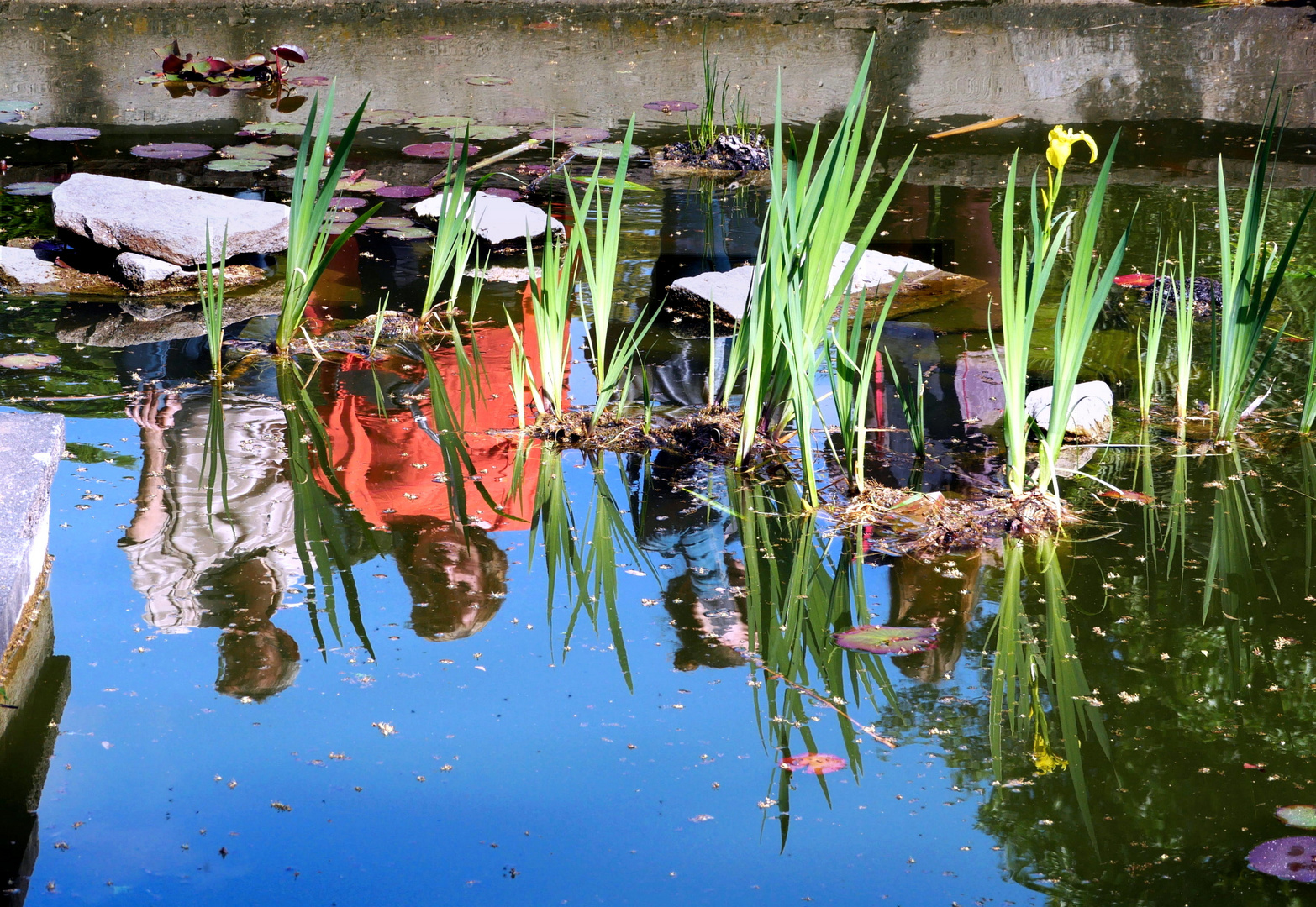 Am Teich