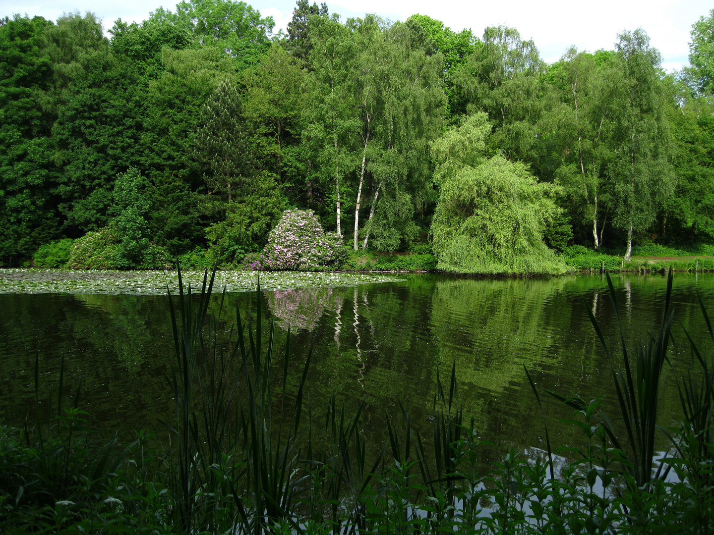 Am Teich