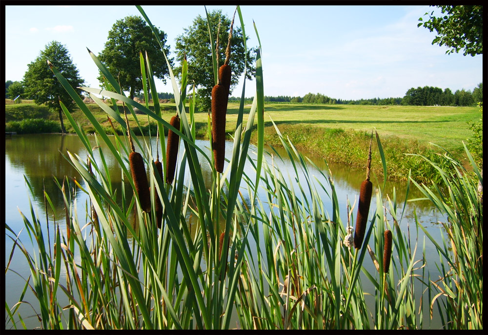 Am Teich 1