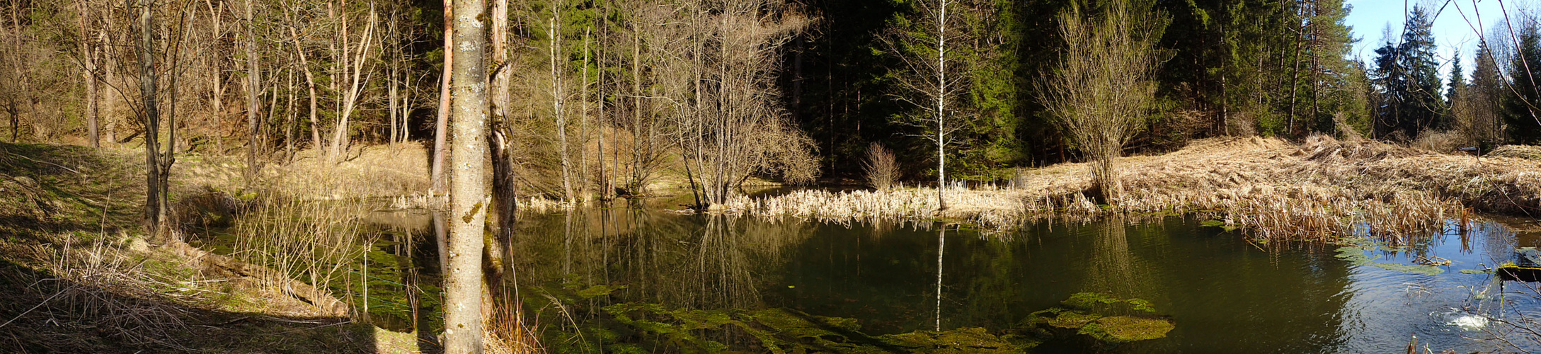 am teich 1