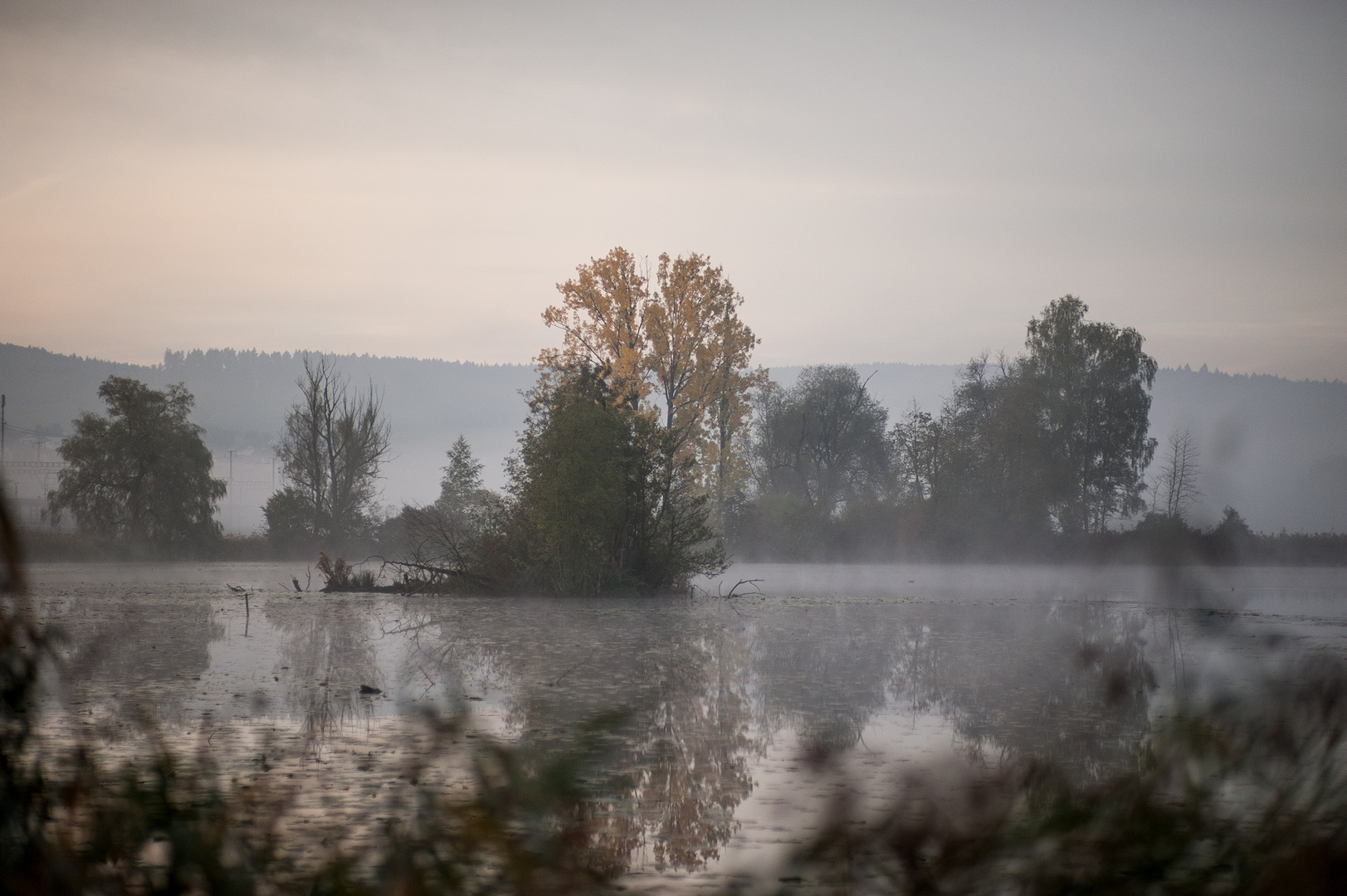 Am Teich