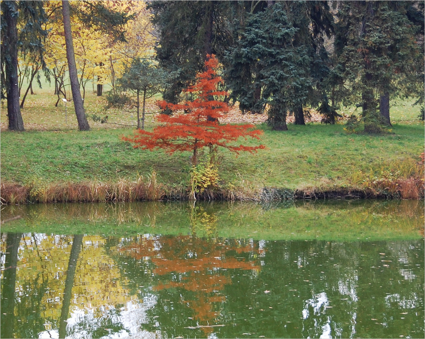 am Teich Foto & Bild teich, herbst, spiegelung Bilder auf
