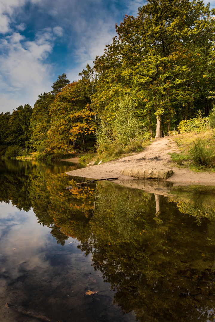 Am Teich