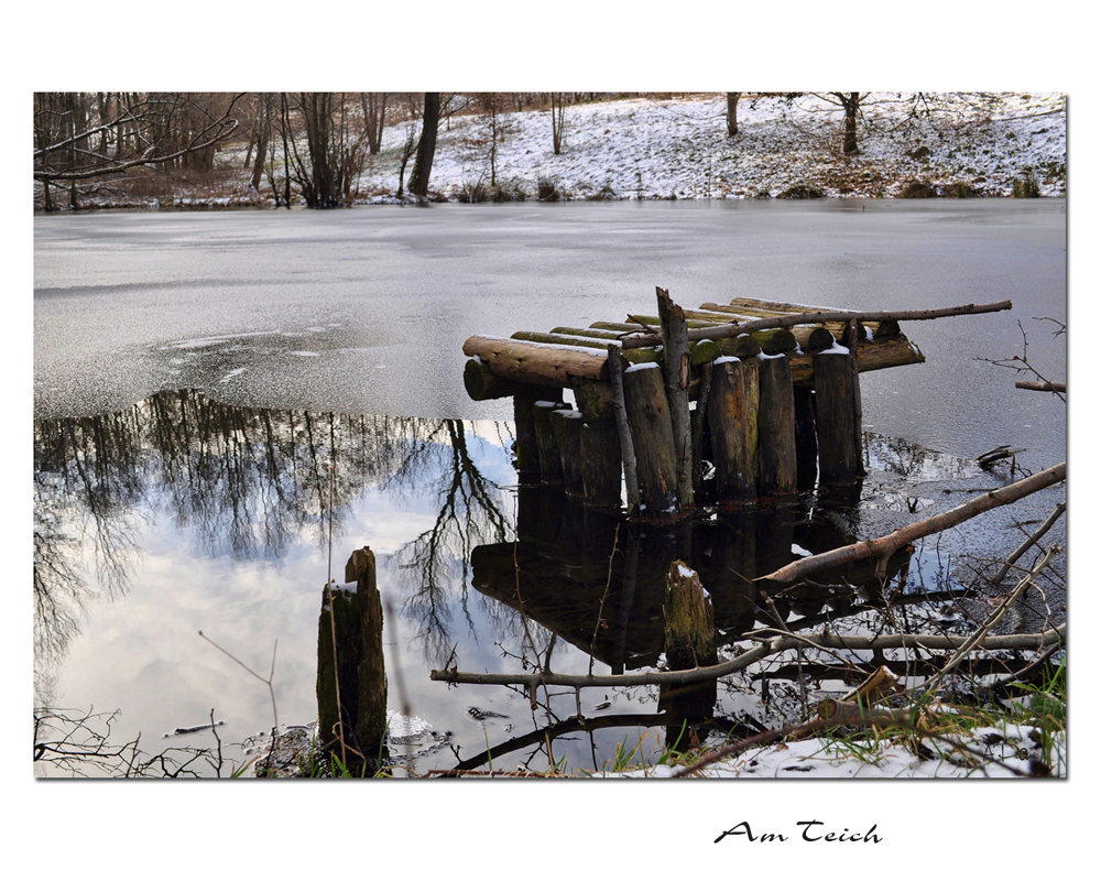 Am Teich (2)