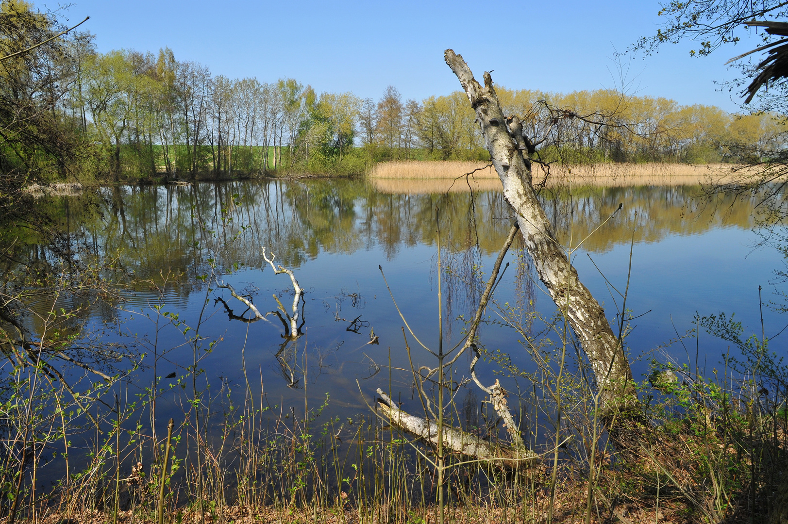 Am Teich 2 Foto & Bild landschaft, bach, fluss & see, see, teich