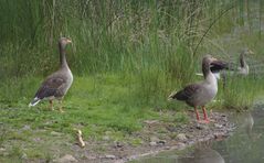 Am Teich 2