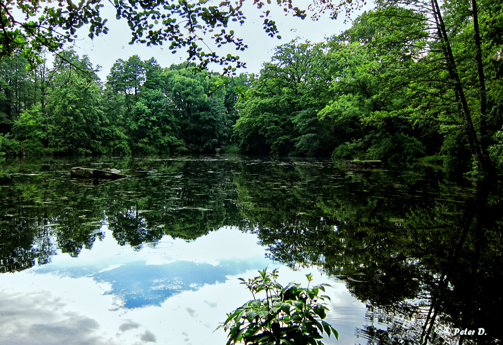 Am Teich (2)