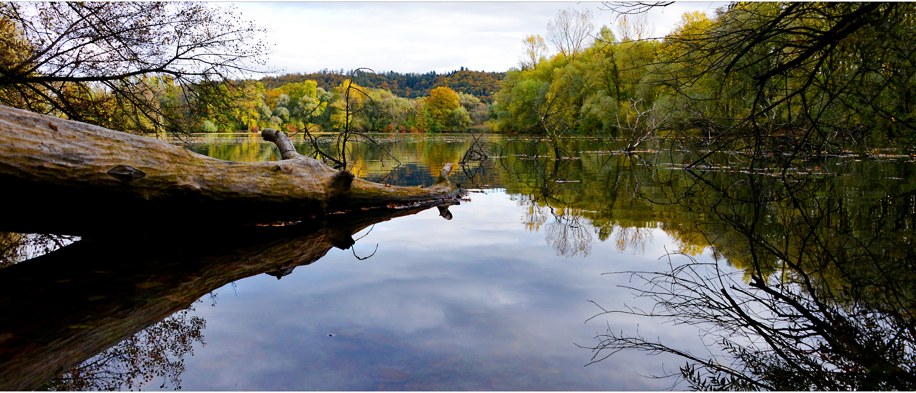 ...am teich #2...