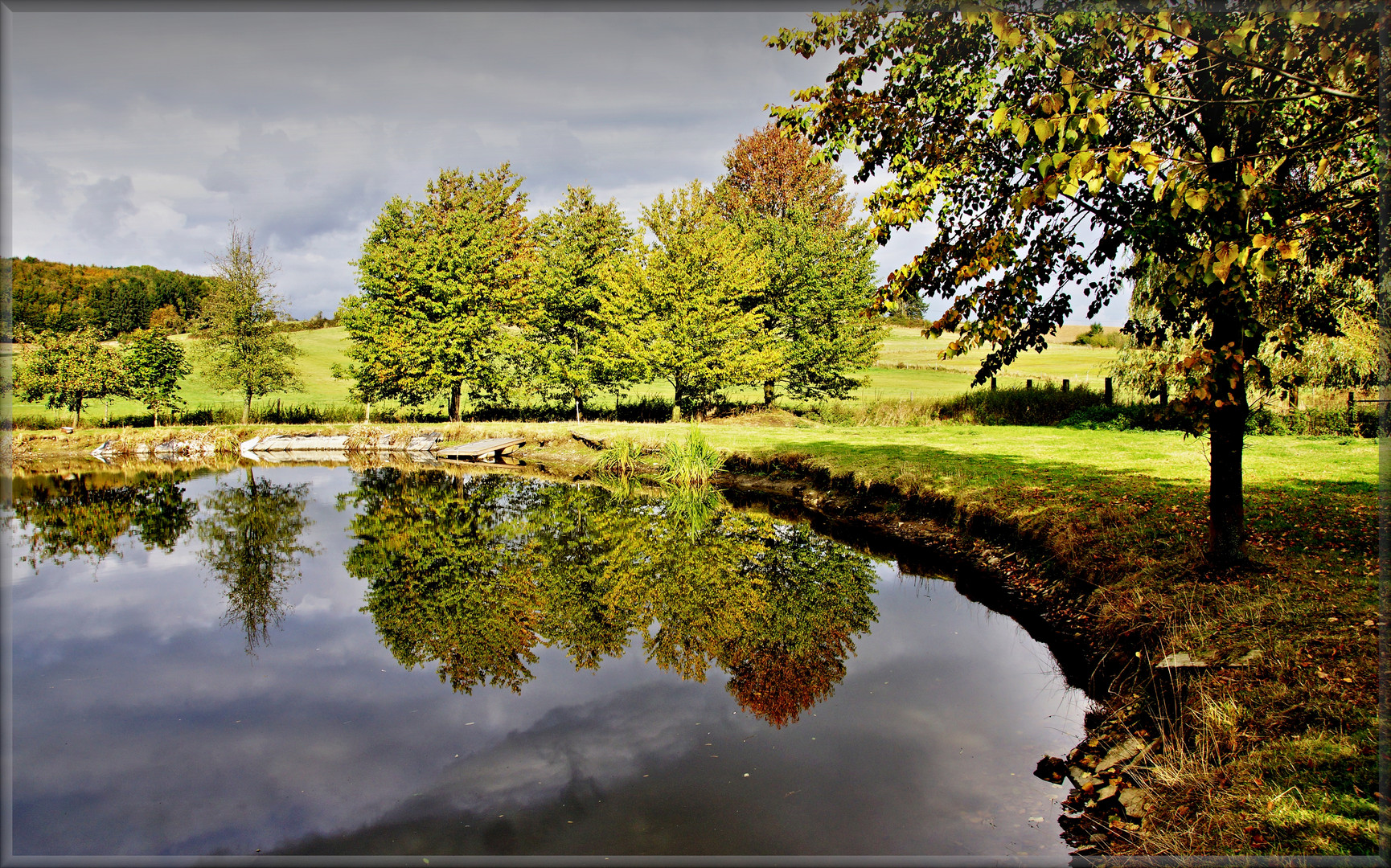 Am Teich 2 Foto & Bild herbst, wasser, bäume Bilder auf