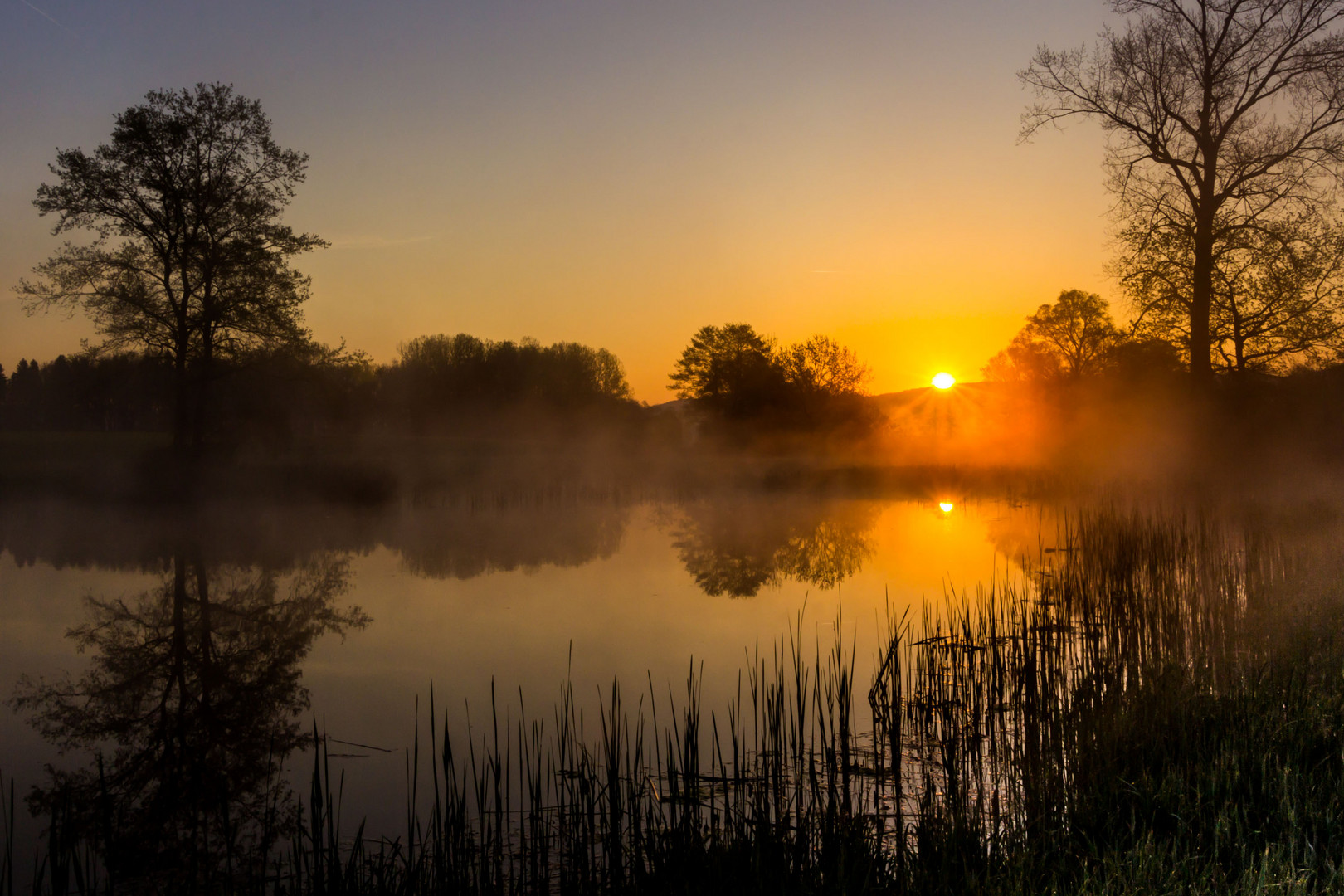 am Teich 2.0d