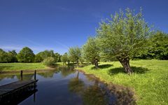 Am Teich