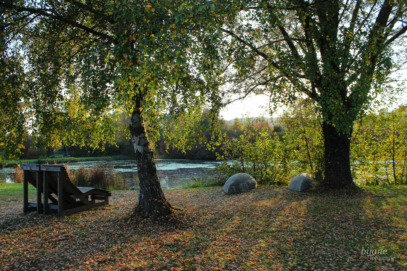 Am Teich