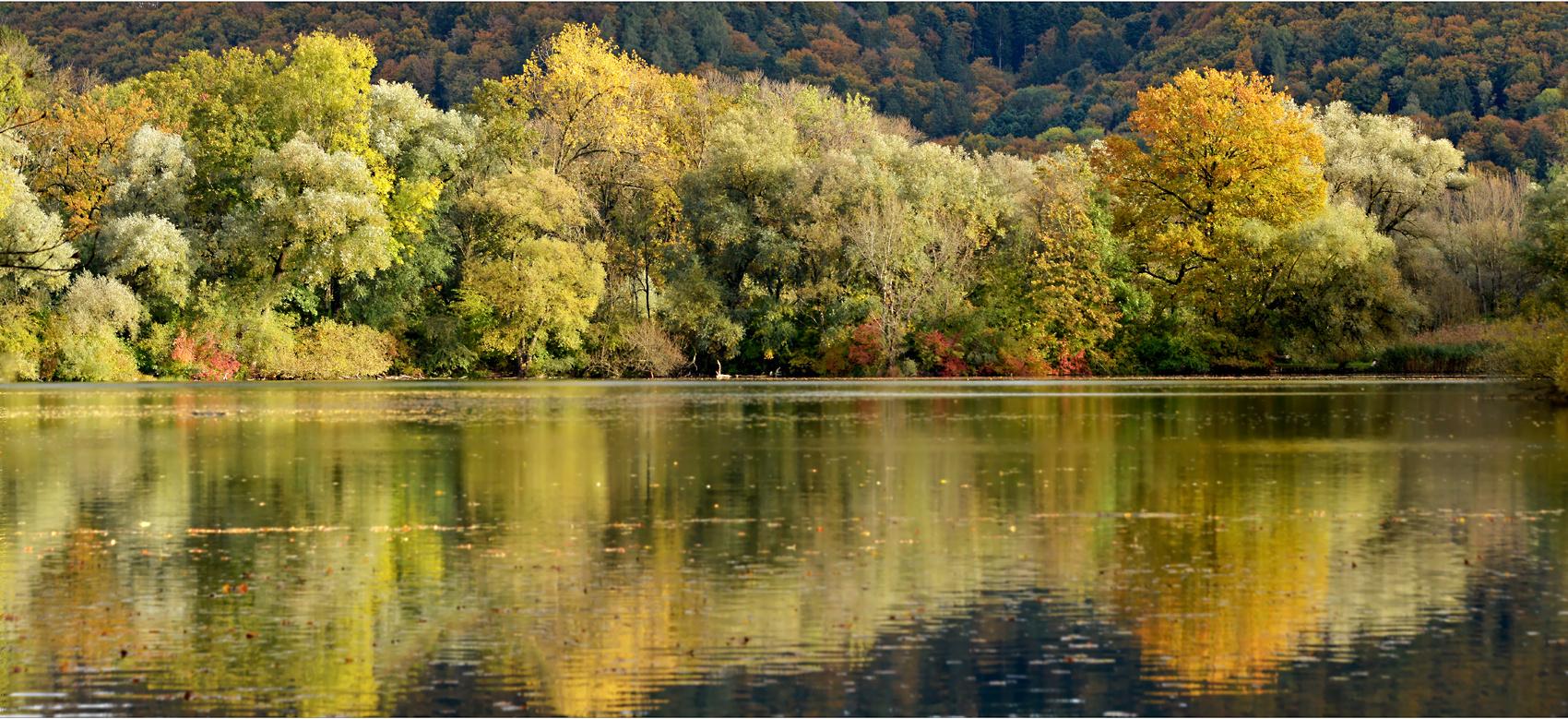 ...am teich...