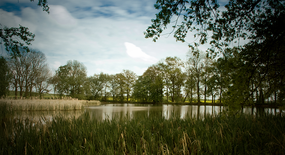Am Teich Foto & Bild landschaft, bach, fluss & see, see, teich