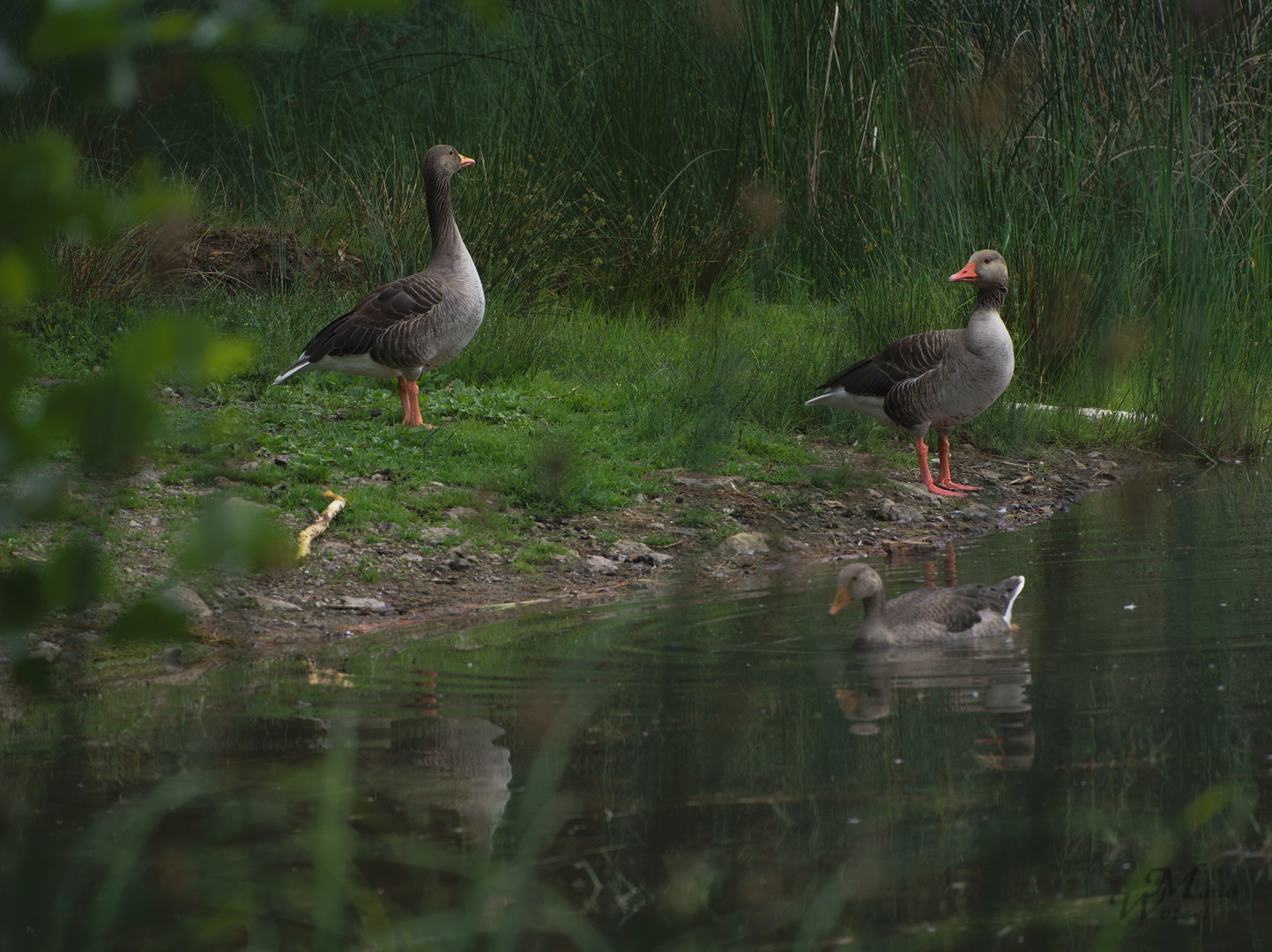 Am Teich 3