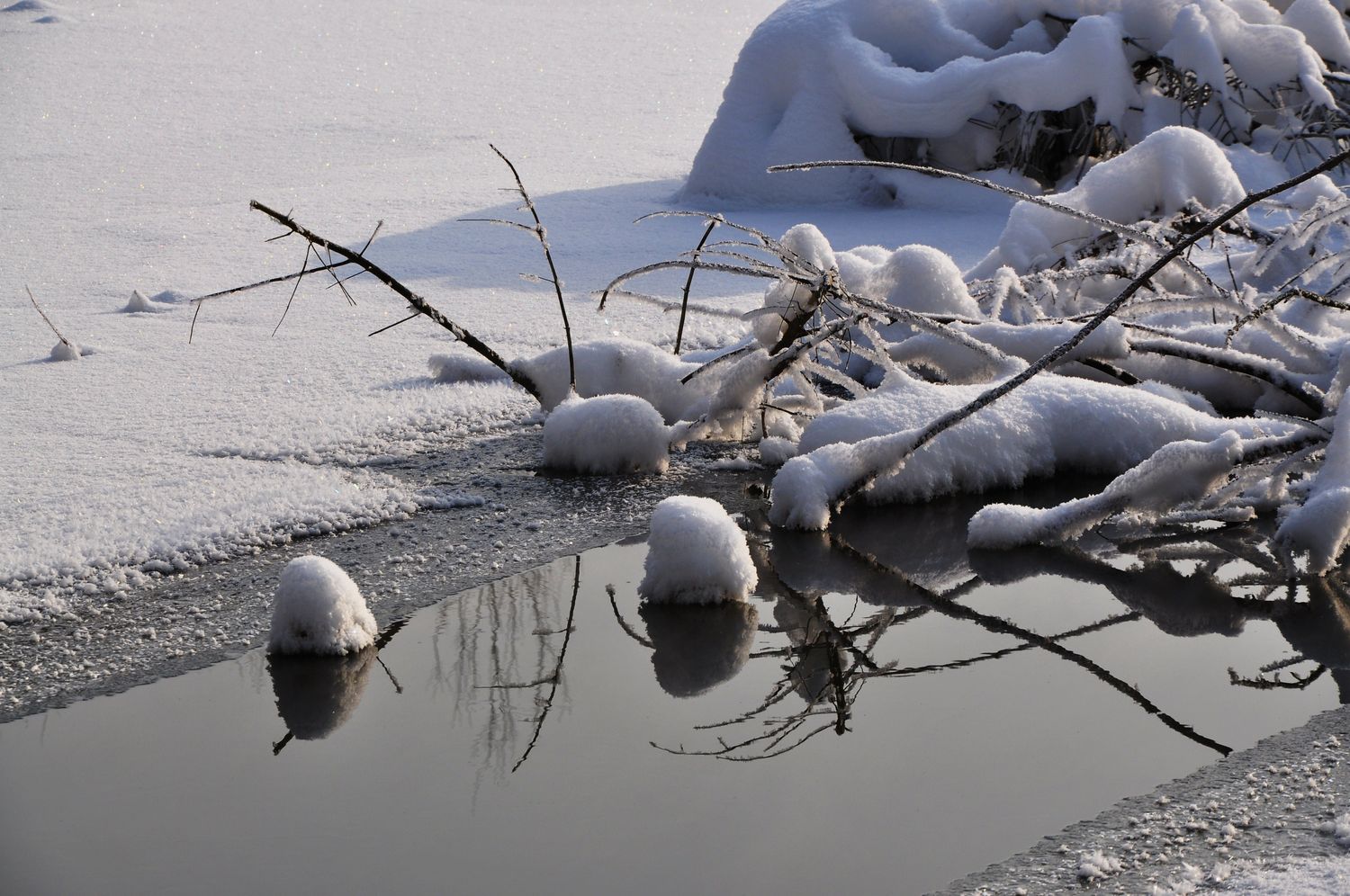 Am Teich