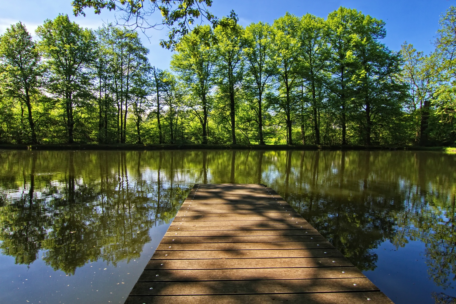 Am Teich