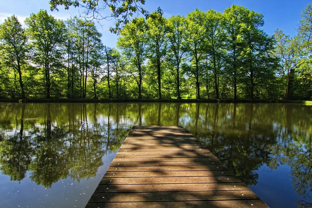 Am Teich Foto & Bild deutschland, europe, nordrhein westfalen Bilder