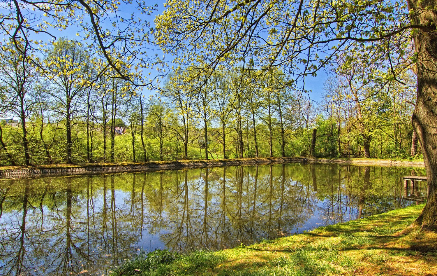 Am Teich 