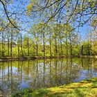 Am Teich 