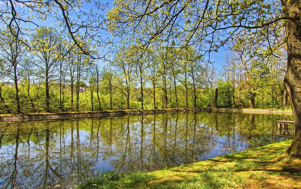 Am Teich Foto & Bild deutschland, europe, nordrhein westfalen Bilder