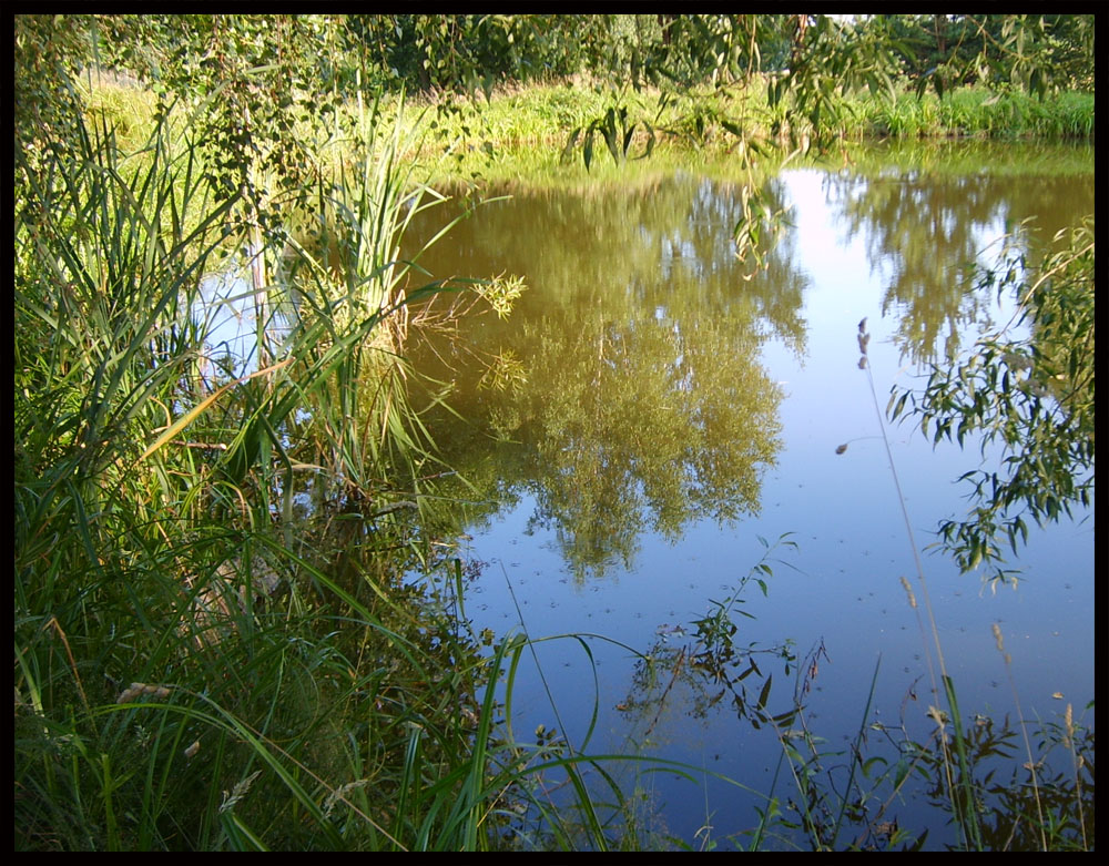 Am Teich 4