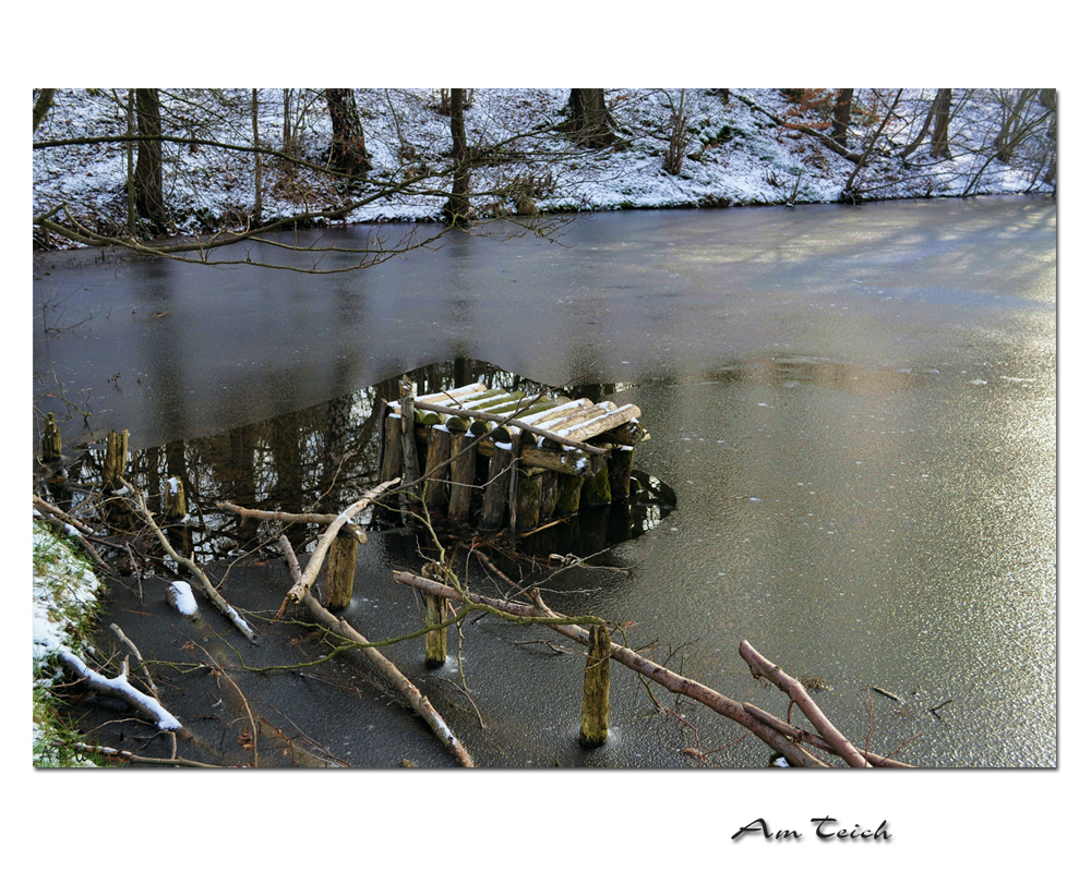 Am Teich (4)