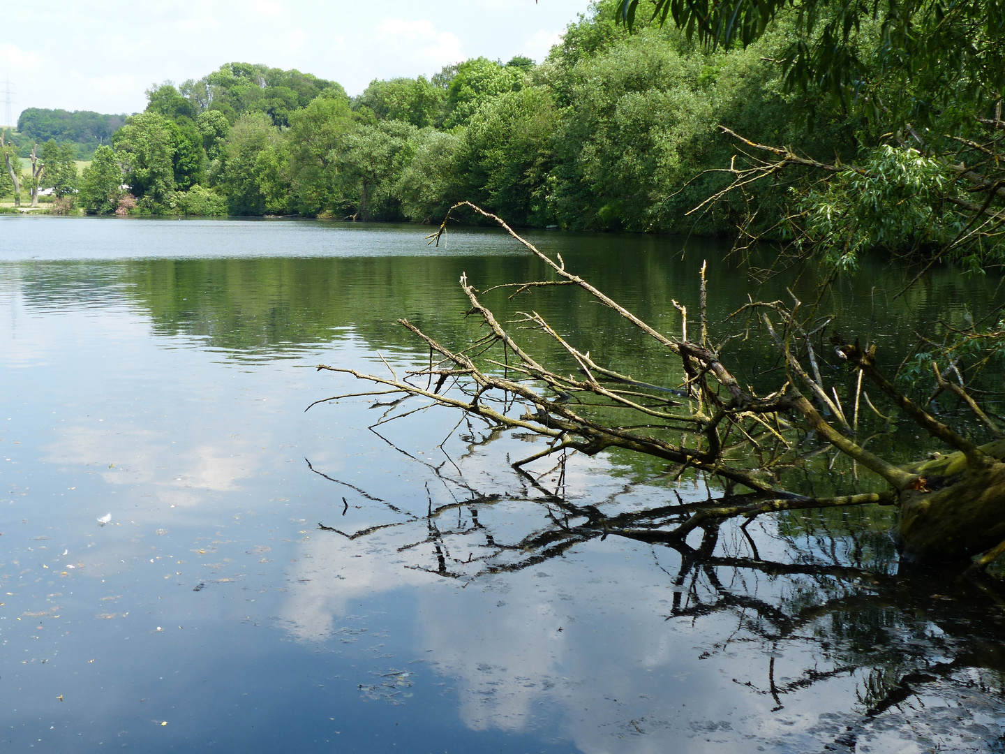 am Teich