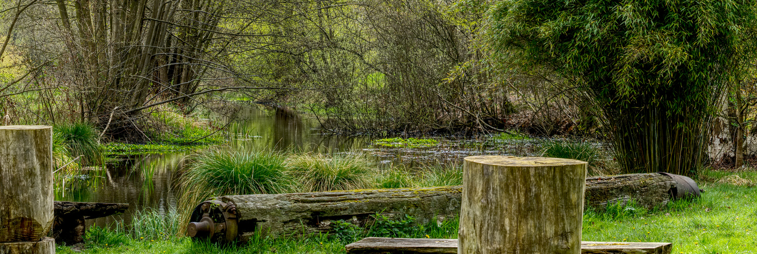 Am Teich