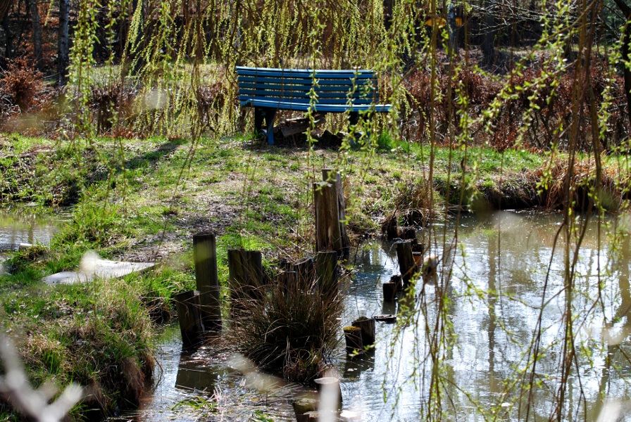 Am Teich