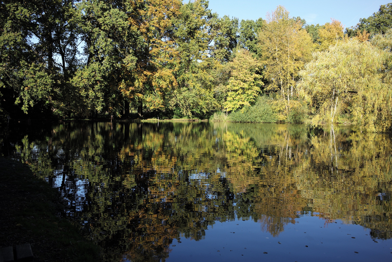 am teich