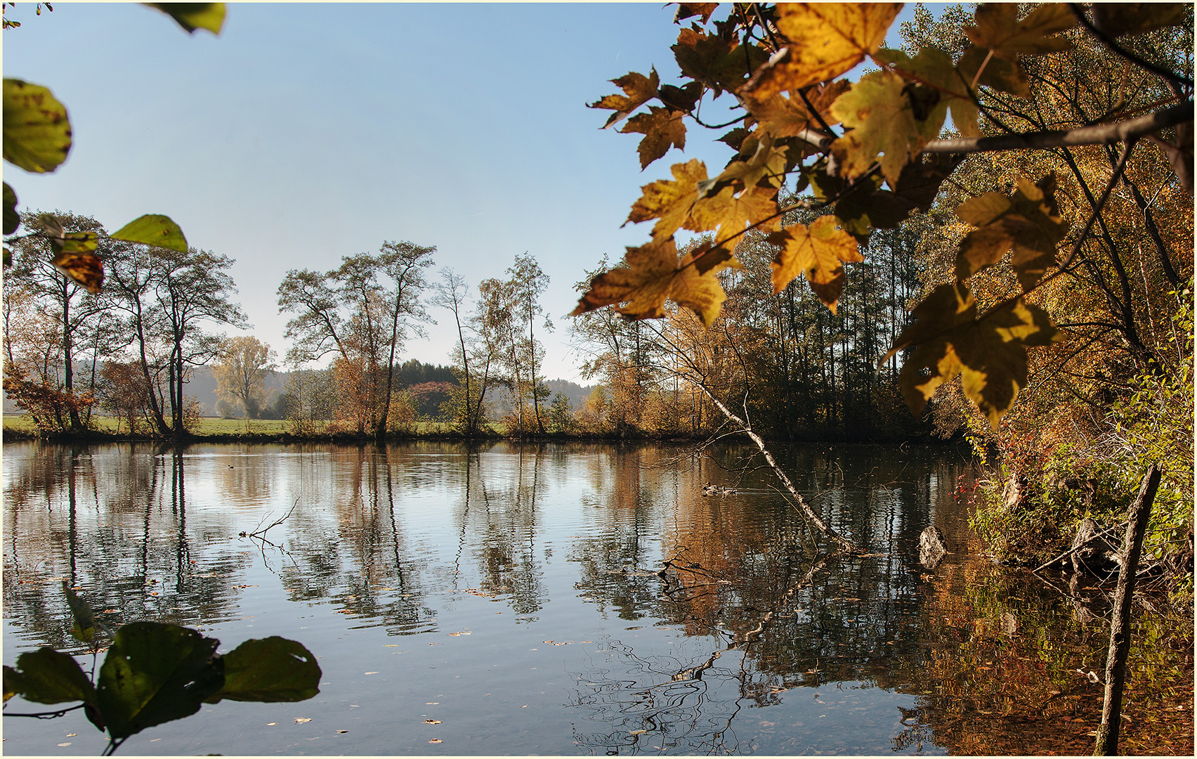 Am Teich