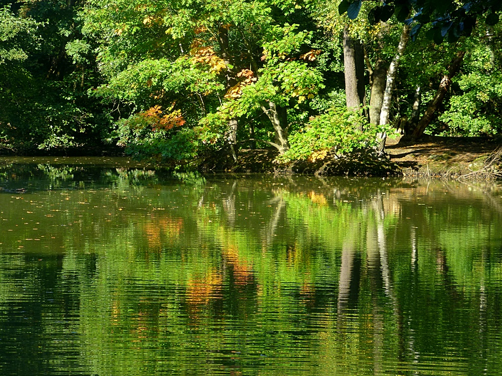 Am Teich ..