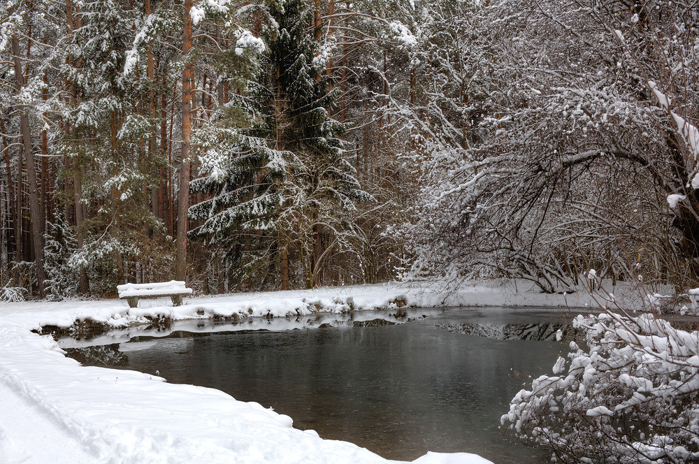 am Teich