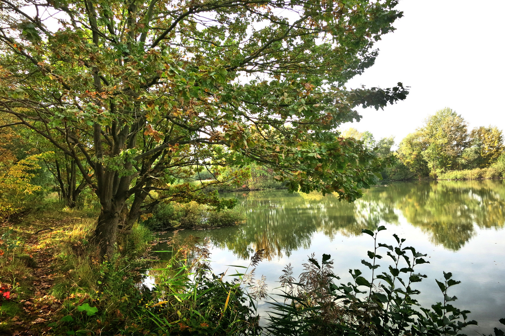 Am Teich