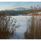 am Teich...