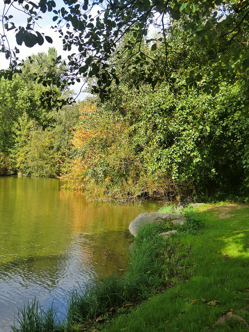 Am Teich