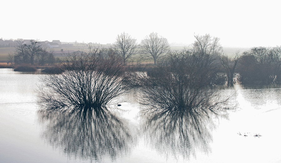 Am Teich