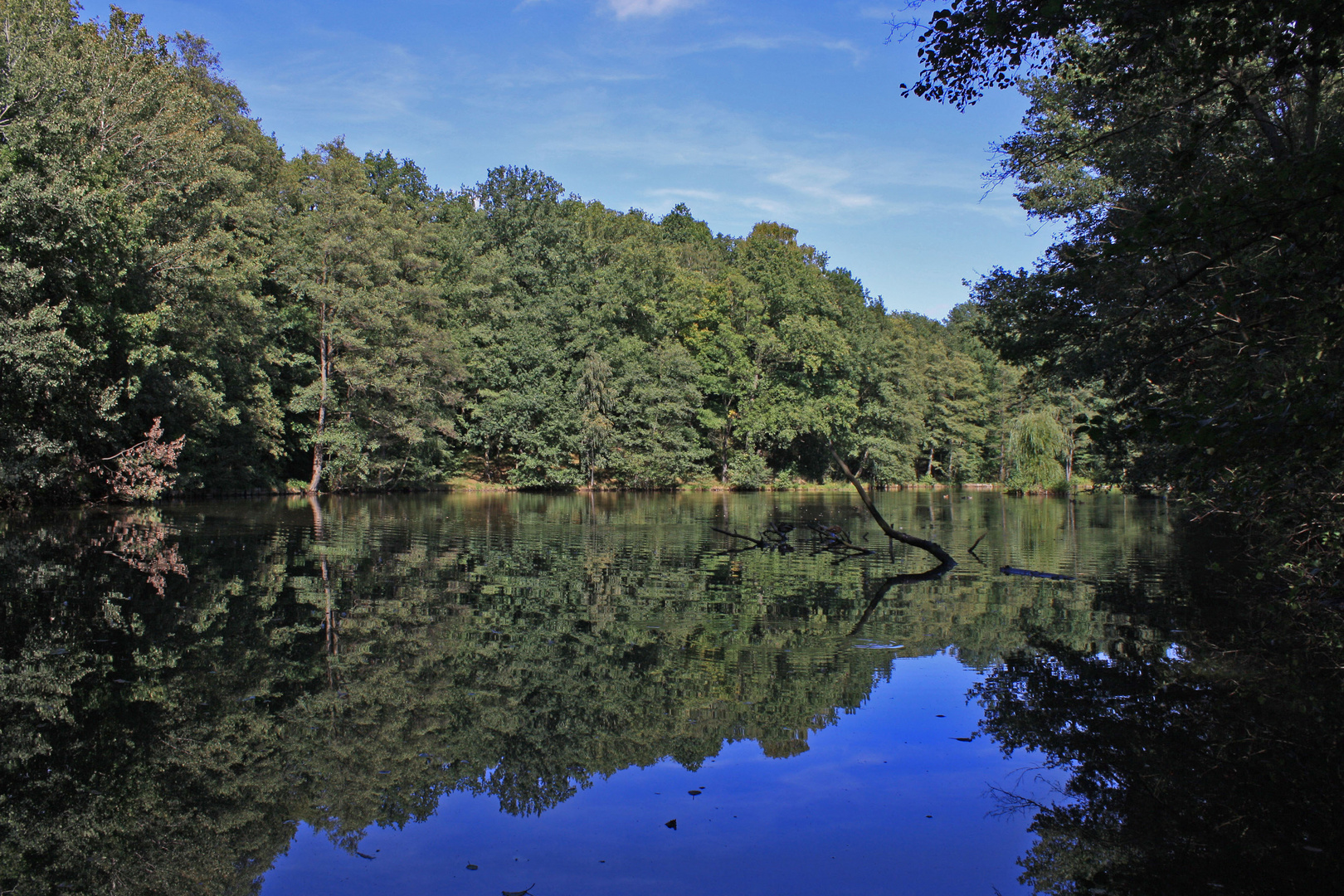 am teich